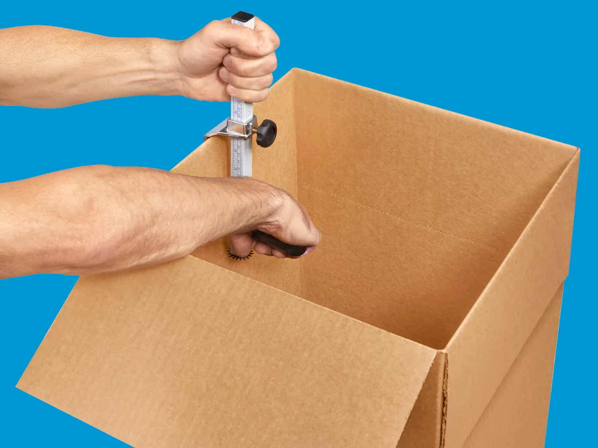 Carton Sizer
