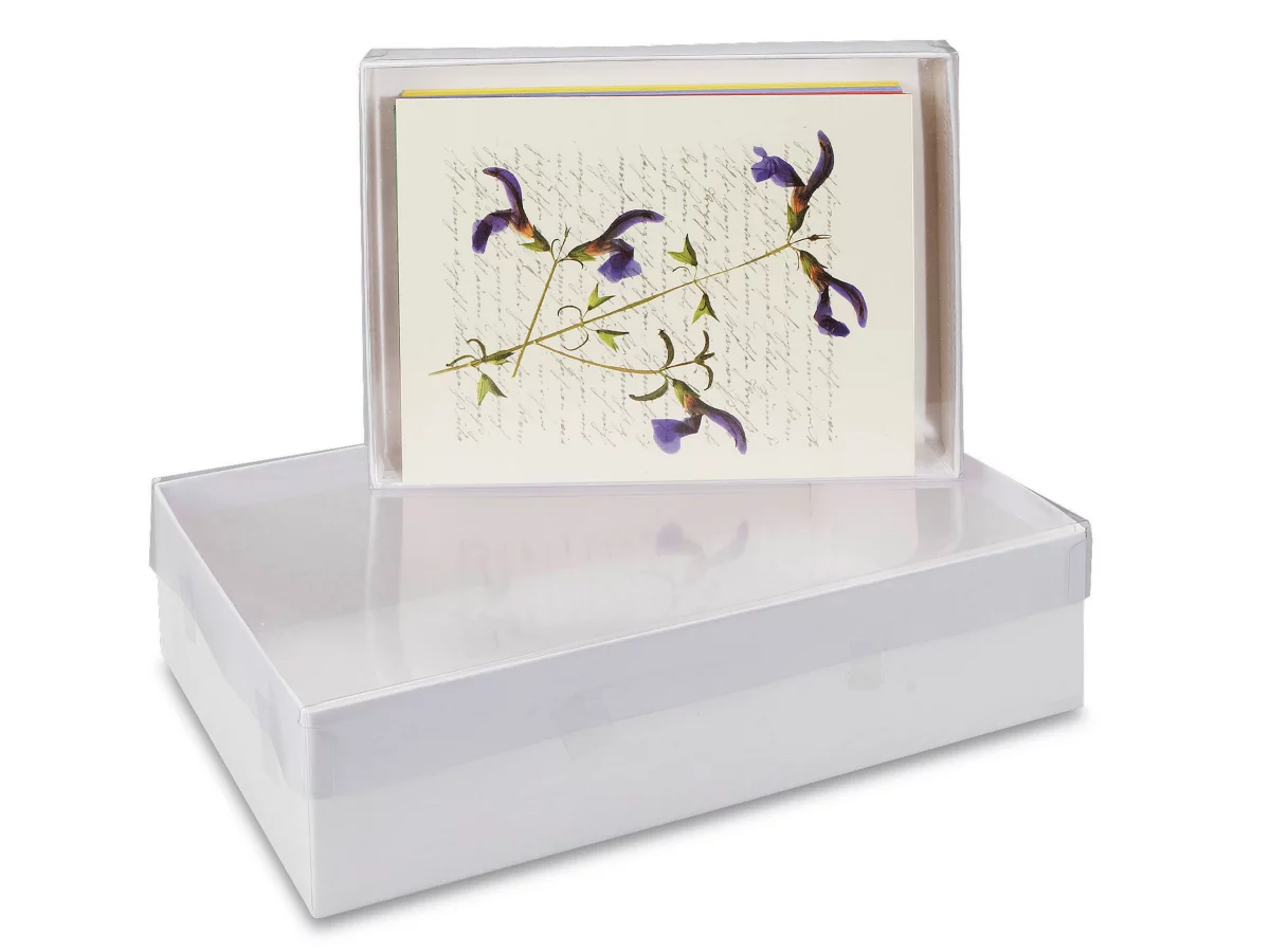 Clear Lid Boxes