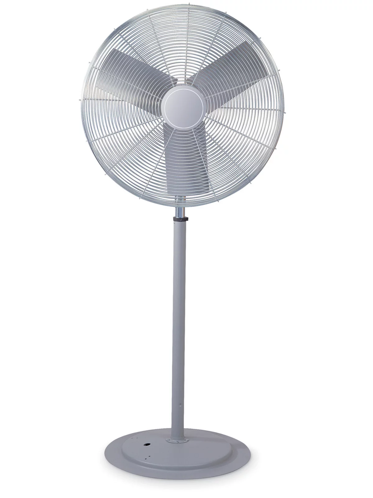 Pedestal Fans